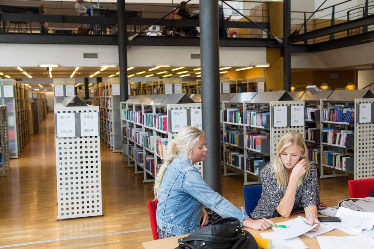 Studenter på Universitetsbiblioteket i Kalmar